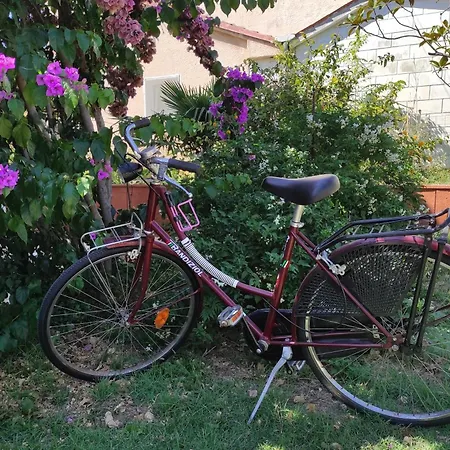 Lejlighed M&r Studio, And Town! *