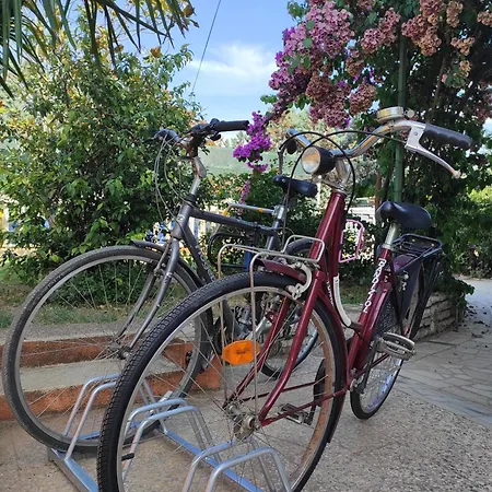 M&r Studio, And Town! *