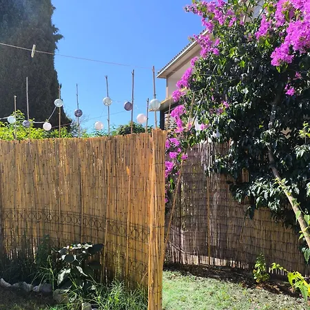 M&r Studio, And Town! Póla